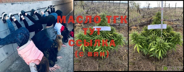 спайс Богданович