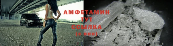 МДПВ Бородино