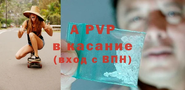 спайс Богданович