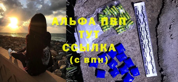 МДПВ Бородино