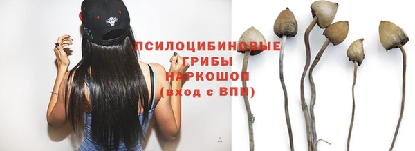 спайс Богданович