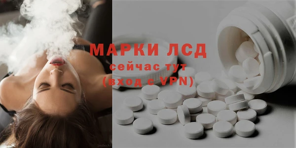 МДПВ Бородино