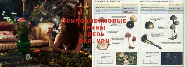 наркотики Бронницы