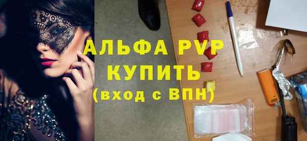МДПВ Бородино